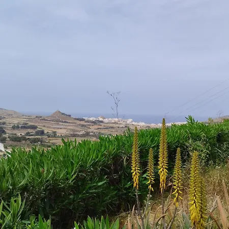 Cornucopia Xaghra